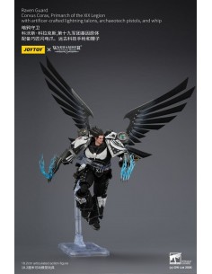 Raven Guard Corvus Corax,...