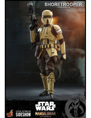 Shoretrooper 1/6. Star Wars. Hot Toys