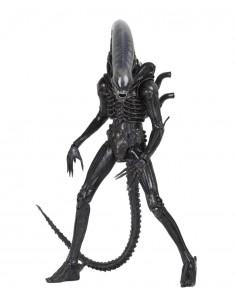Alien Big Chap 1/4....