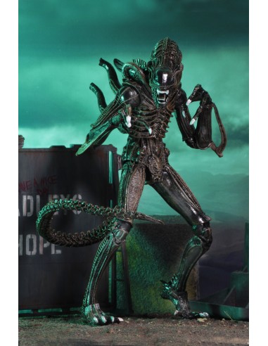 Ultimate Warrior Xenomorph (Brown)....