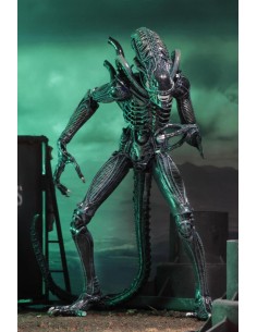 Ultimate Warrior Xenomorph...