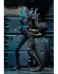 Ultimate Warrior Xenomorph... 2