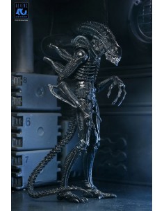 Ultimate Warrior Xenomorph...