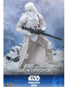 Imperial Remnant...