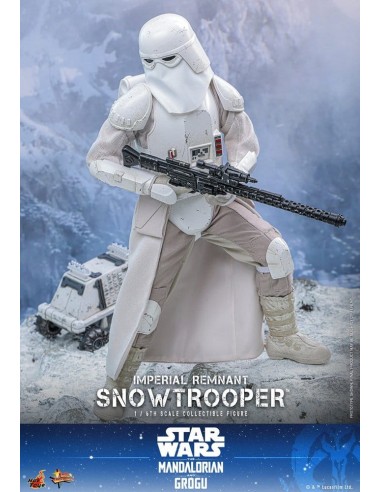Imperial Remnant Snowtrooper 1/6....
