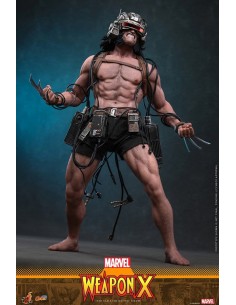 Weapon X 1/6. Comic...