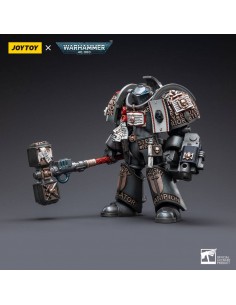 Grey Knights Terminator...