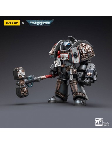 Grey Knights Terminator Caddon Vibova...