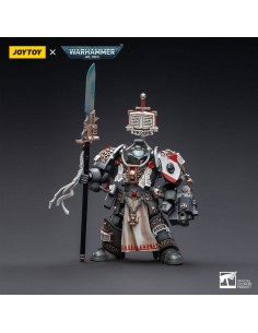 Grey Knights Terminator...