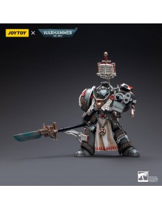 Grey Knights Terminator... 2