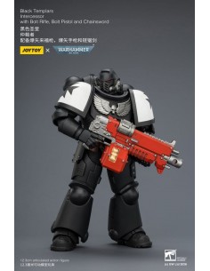 Black Templars Intercessor....