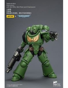 Salamanders Intercessor....