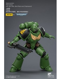 Salamanders Intercessor.... 2