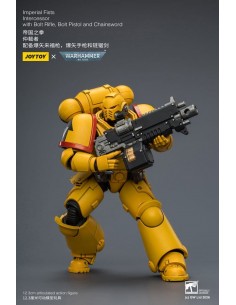 Imperial Fists Intercessor.... 2