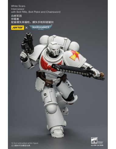 White Scars Intercessor. W40K. Joytoy