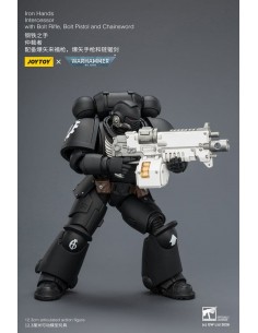 Iron Hands Intercessor.... 2