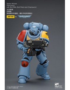 Space Wolves Intercessor.... 2