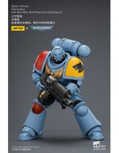 Space Wolves Intercessor....