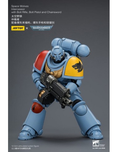 Space Wolves Intercessor. W40K. Joytoy
