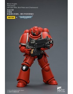 Blood Angels Intercessor....