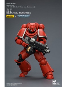 Blood Angels Intercessor.... 2