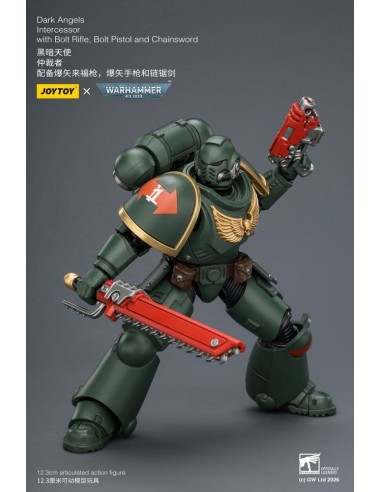 Dark Angels Intercessor. W40K. Joytoy