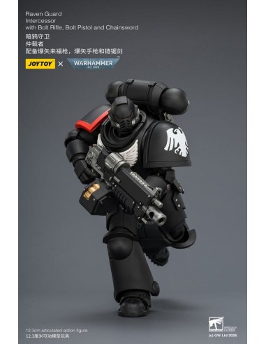 Raven Guard Intercessor. W40K. Joytoy