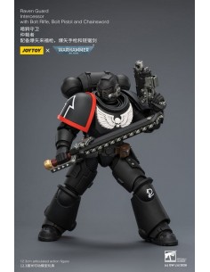 Raven Guard Intercessor.... 2